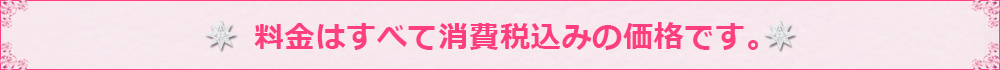 料金はすべて消費税込みの価格です。